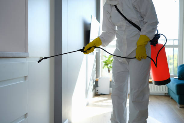 Professional Mold Removal in Lindenhurst, NY